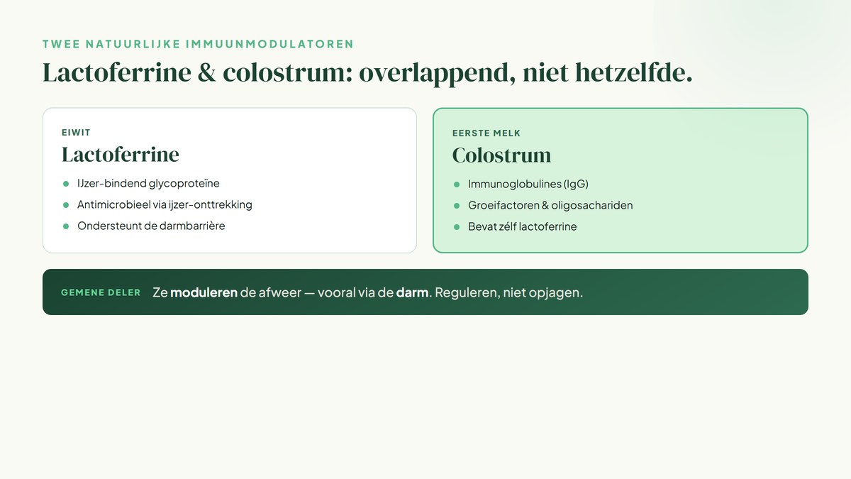 Twee kaarten naast elkaar: lactoferrine (ijzer-bindend eiwit) en colostrum (immunoglobulines, groeifactoren), beide gericht op immuunmodulatie via de darm.